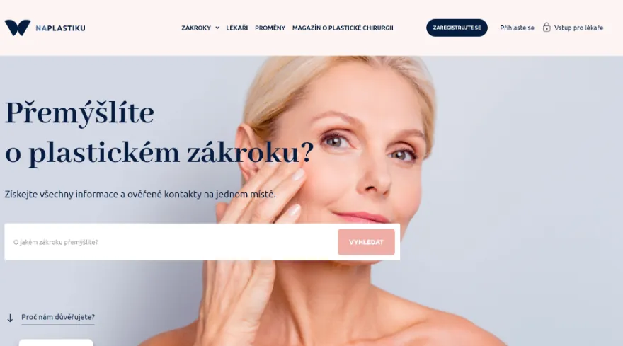 Ukázka webu naplastiku.cz